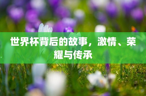 世界杯背后的故事，激情、荣耀与传承眉山市正发家政服务有限公司
