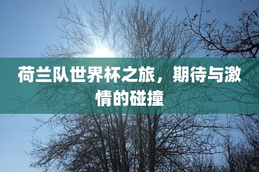 荷兰队世界杯之旅，期待与激情的碰撞