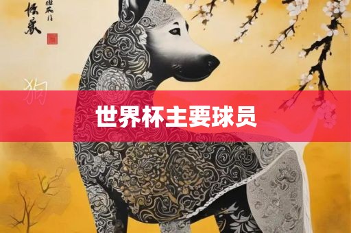 世界杯主要球员