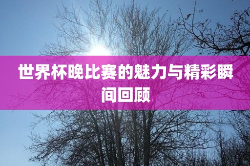 世界杯晚比赛的魅力与精彩瞬间回顾