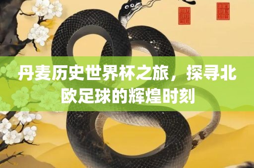 丹麦历史世界杯之旅眉山市正发家政服务有限公司，探寻北欧足球的辉煌时刻