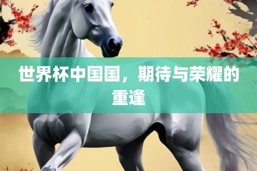 世界杯中国国，期待与荣耀的重逢
