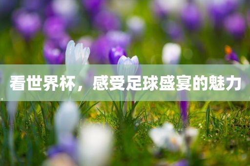 看世界杯，感受足球盛宴的魅力眉山市正发家政服务有限公司