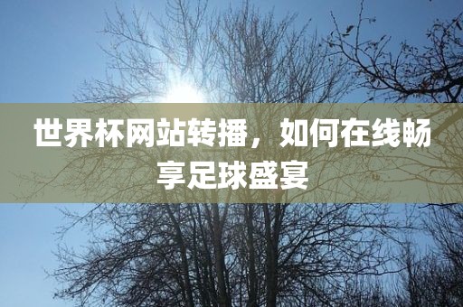 世界杯网站转播，如何在线畅享足球盛宴