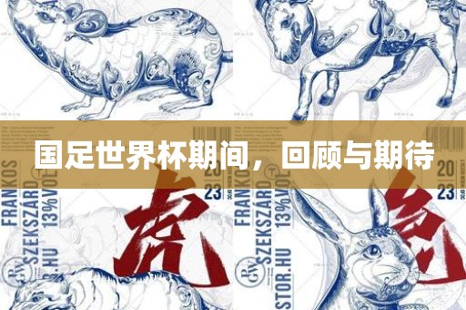 国足世界杯期间，回顾与期待