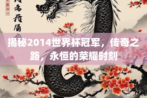 揭秘2014世界杯冠军，传奇之路，永恒的荣耀时刻眉山市正发家政服务有限公司