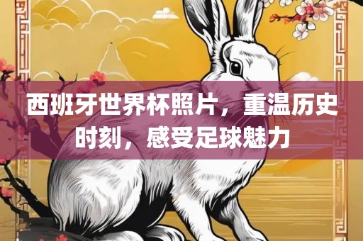 西班牙眉山市正发家政服务有限公司世界杯照片，重温历史时刻，感受足球魅力