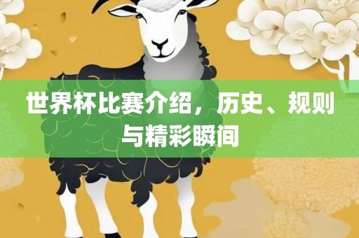 世界杯比赛介绍，历史、规则与精彩瞬间