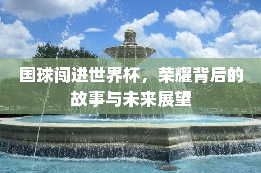 国球闯进世界杯，荣耀背后的故事与未来展望