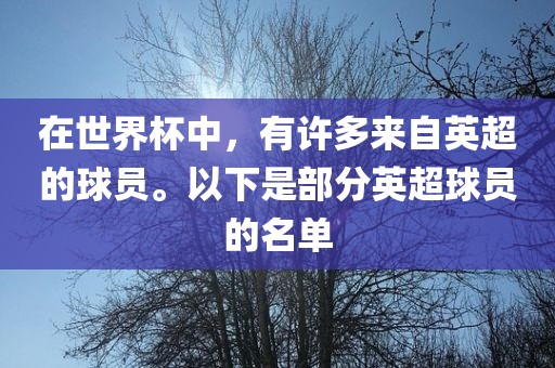 在世界杯中，有许多来自英超的球员。以下是部分英超球员的名单