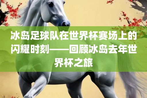 冰岛足球队在世界杯赛场上的闪耀时刻——回顾冰岛去年世界杯之旅