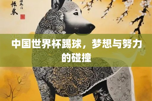中国世界杯踢球，梦想与努力的碰撞
