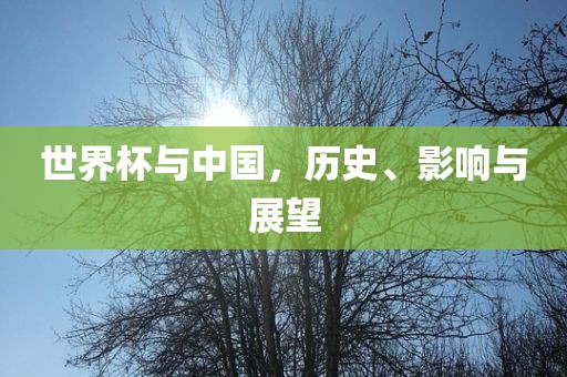 世界杯与中国，历史、影响与展望眉山市正发家政服务有限公司