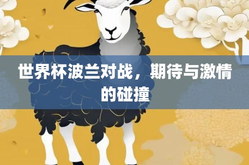 世界杯波兰对战，期待与激情的碰撞