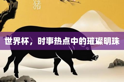 世界杯，时事热点中的璀璨明珠