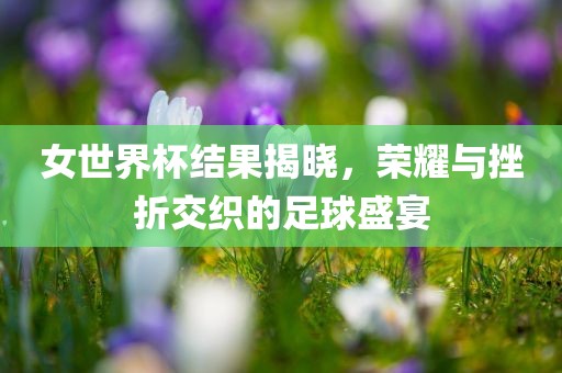 女世界杯结果揭晓，荣耀与挫折交织的足球盛宴