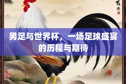 男足与世界杯，一场足球盛宴的历程与期待