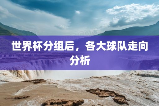 世界杯分组后，各大球队走向分析