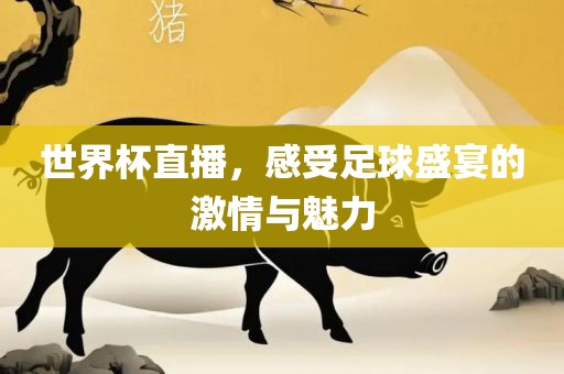 世界杯直播，感受足球盛宴的激情与魅力眉山市正发家政服务有限公司