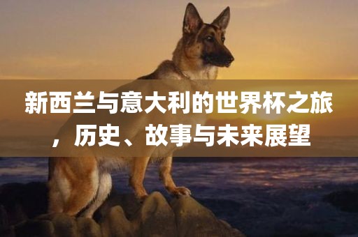 新西兰与意大利的世界杯之旅，历史、故事与未来展望