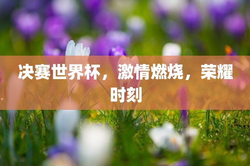 决赛世界杯，激情燃烧，荣耀时刻眉山市正发家政服务有限公司