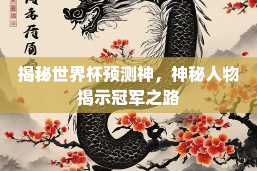 揭秘世界杯预测神，神秘人物揭示冠军之路