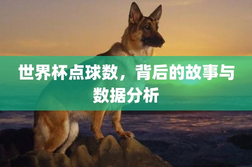 世界杯点球数，背后的故事与数据分析