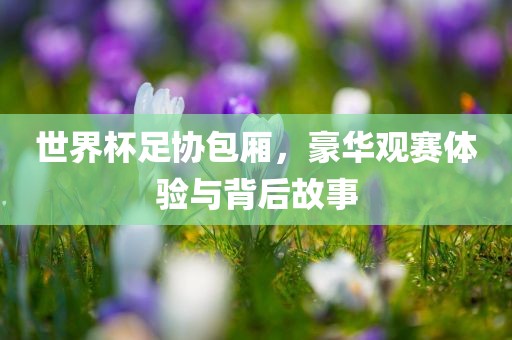 世界杯足协包厢，豪华观赛体验与背后故事