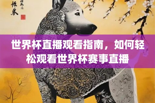 世界杯直播观看指南，如何轻松观看世界杯赛事直播