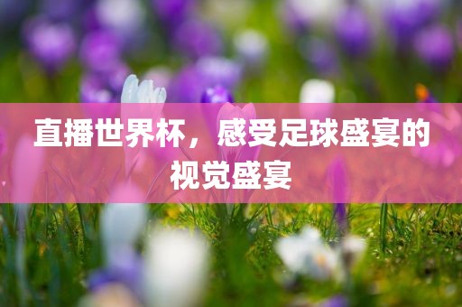 直播世界杯，感受足球盛宴的视觉盛宴