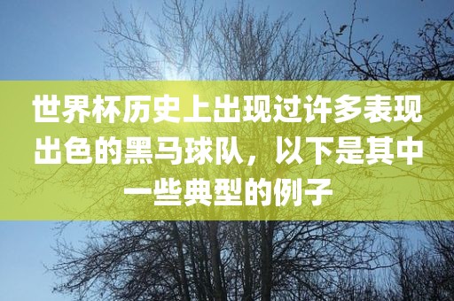 世界杯历史上出现过许多表现出色的黑马球队，以下是其中一些典型的例子