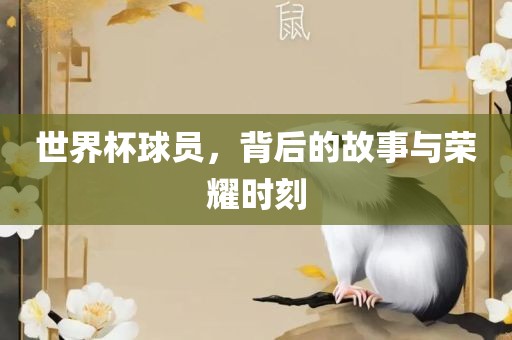 世界杯球员，背后的故事与荣耀时刻