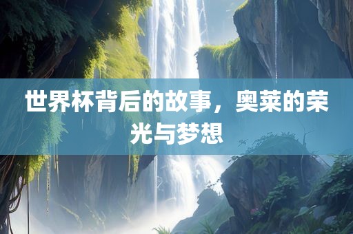 世界杯背后的故事，奥莱的荣光与梦想