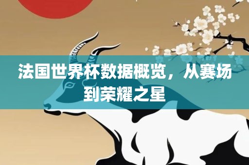法国世界杯数据概览，从赛场到荣耀之星