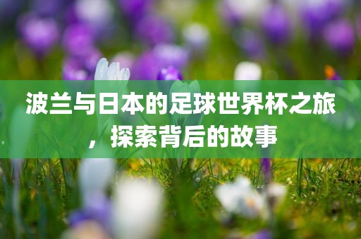 波兰与日本的足球世界杯之旅，探索背后的故事