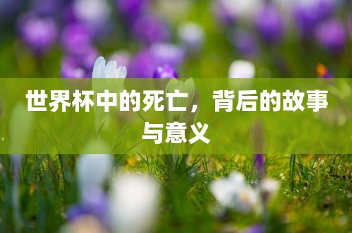 世界杯中的死亡，背后的故事与意义