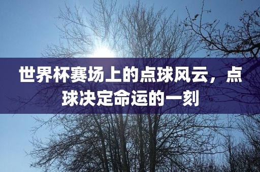 世界杯赛场上的点球风云，点球决定命运的一刻