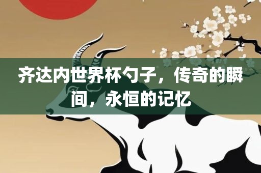 齐达内世界杯勺子，传奇的瞬间，永恒的记忆