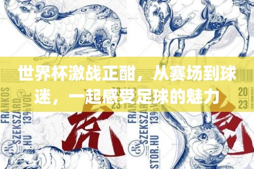 世界杯激战正酣，从赛场到球迷，一起感受足球的魅力