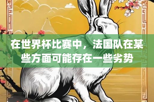 在世界杯比赛中，法国队在某些方面可能存在一些劣势