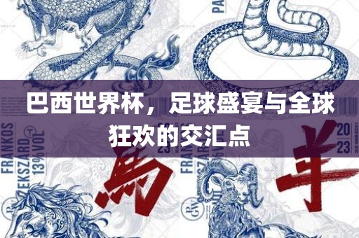 巴西世界杯，足球盛宴与全球狂欢的交汇点眉山市正发家政服务有限公司