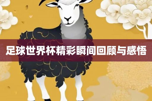 足球世界杯精彩瞬间回顾与感悟