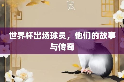 世界杯出场球员，他们的故事与传奇