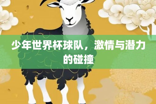 少年世界杯球队，激情与潜力的碰撞