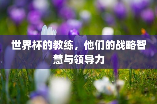 世界杯的教练，他们的战略智慧与领导力