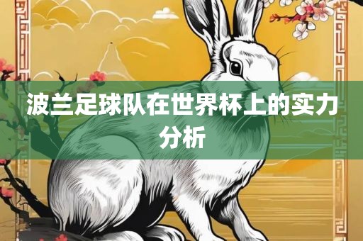 波兰足球队在世界杯上的实力分析