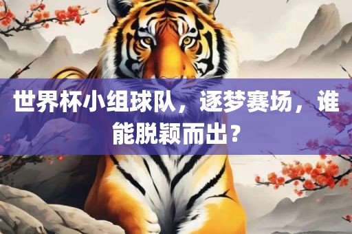 世界杯小组球队，逐梦赛场，谁能脱颖而出？