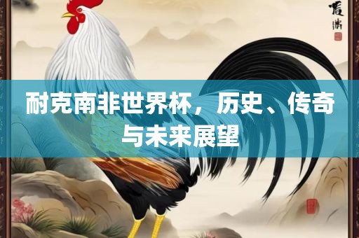 耐克南非世界杯，历史、传奇与未来展望