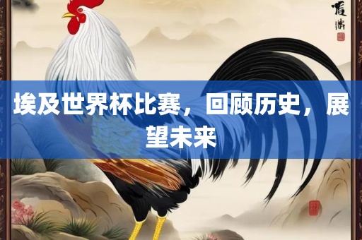埃及世界杯比赛，回顾历史，展望未来