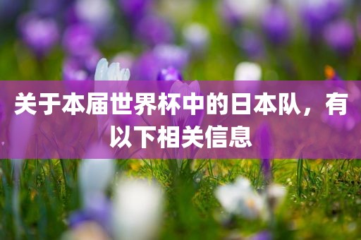 关于本届世界杯中的日本队，有以下相关信息